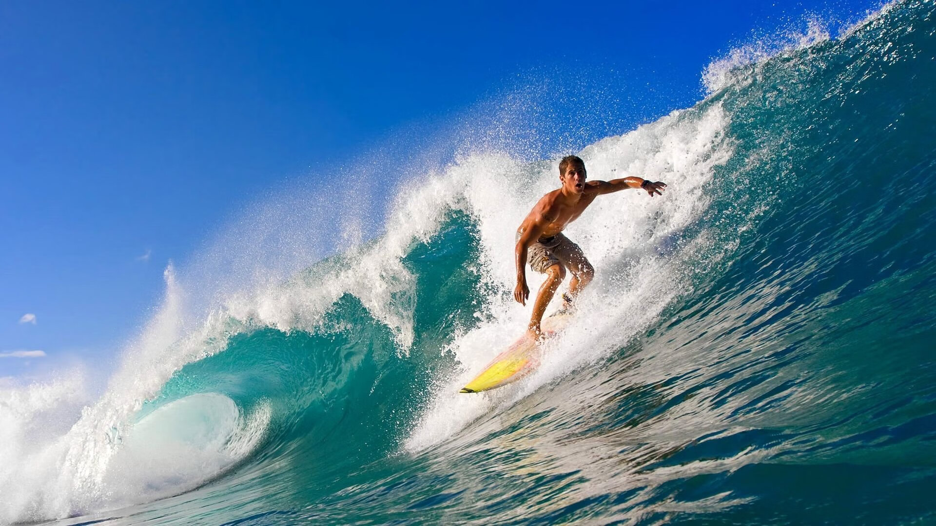 【防守策略】马克·塞尔比：如何利用细节赢得比赛？，马克塞尔比多少个冠军